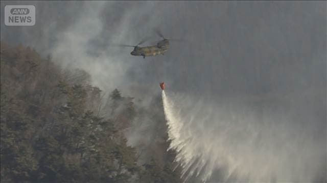 メイン記事画像