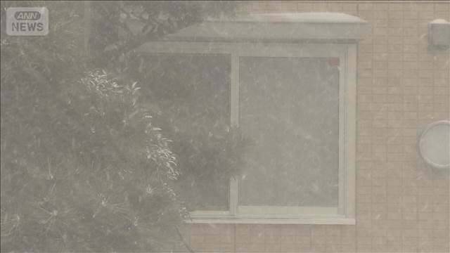 メイン記事画像