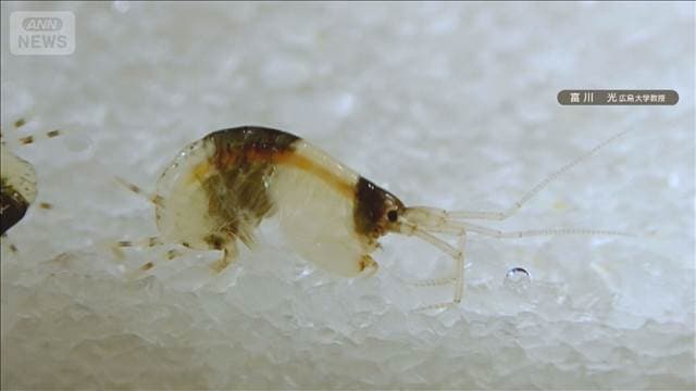 メイン記事画像