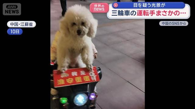 メイン記事画像