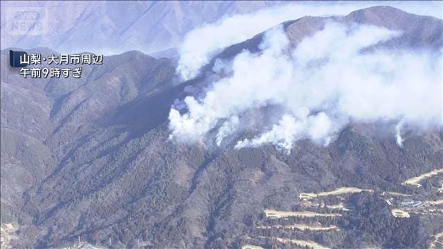 メイン記事画像