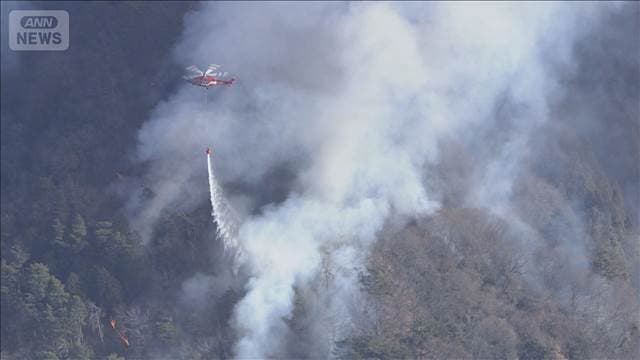 メイン記事画像