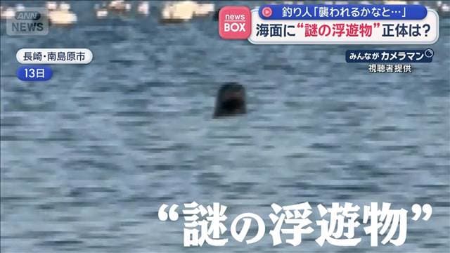 メイン記事画像