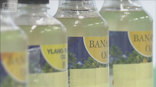 メイン記事画像