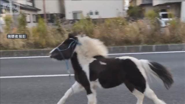 メイン記事画像