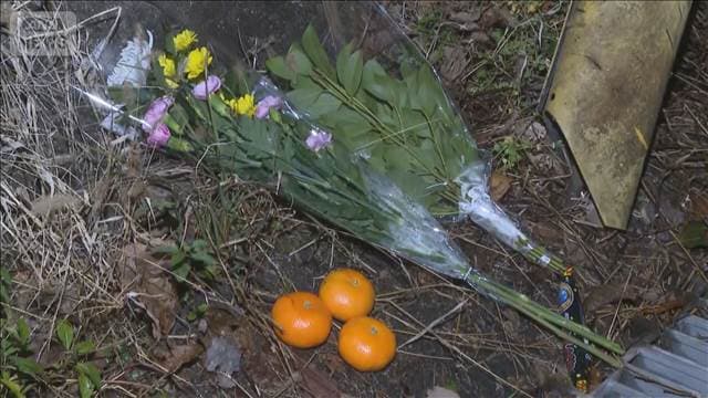 メイン記事画像