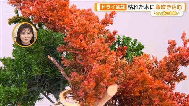 メイン記事画像