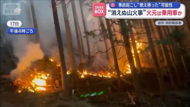 メイン記事画像