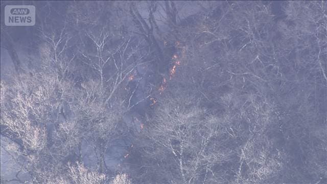 メイン記事画像