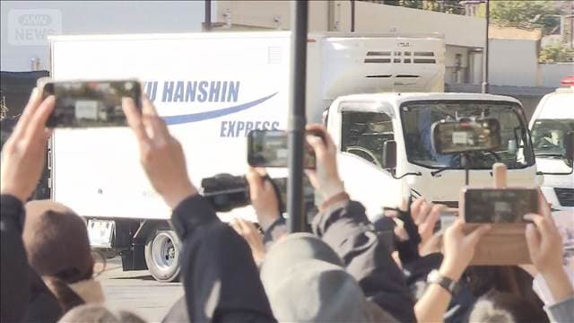 メイン記事画像