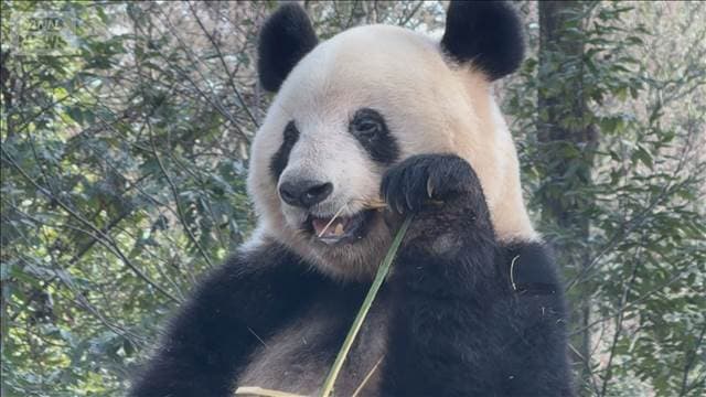 メイン記事画像