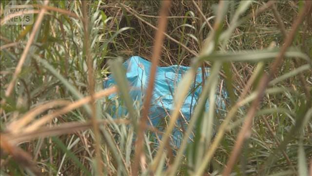 メイン記事画像