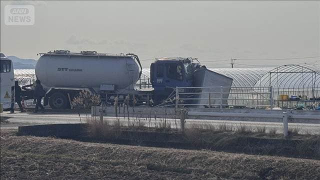 メイン記事画像