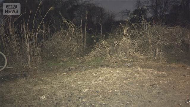 メイン記事画像