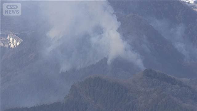 メイン記事画像