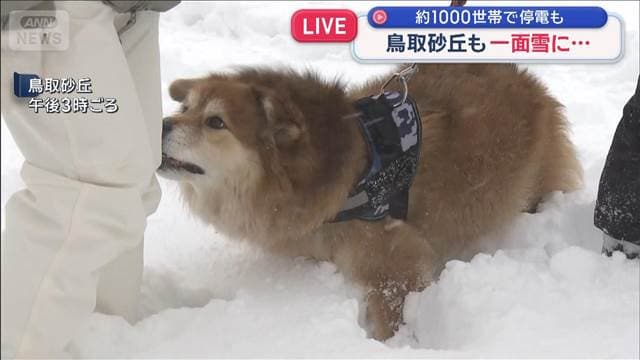 メイン記事画像