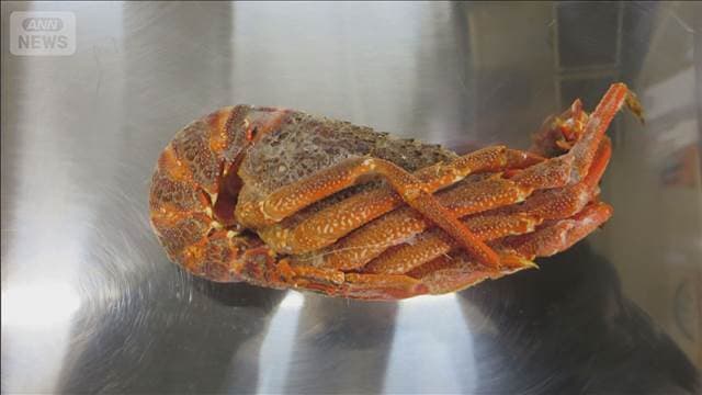 メイン記事画像