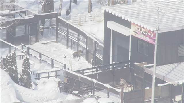 メイン記事画像