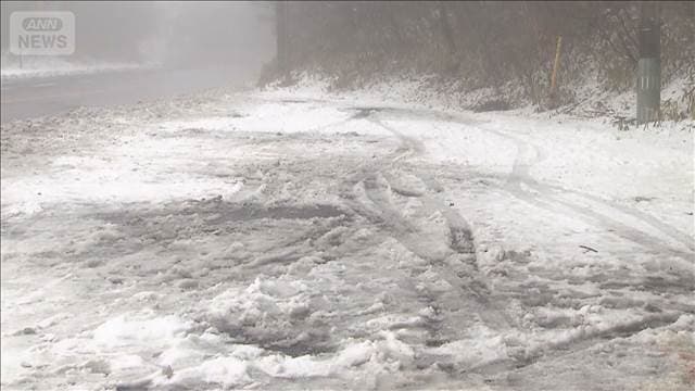 メイン記事画像