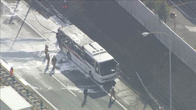 メイン記事画像