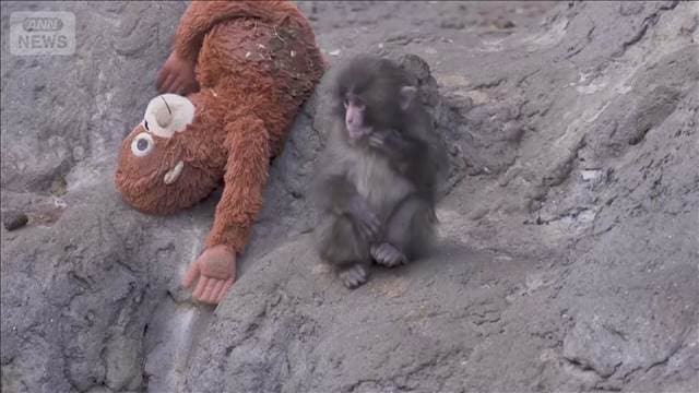 メイン記事画像