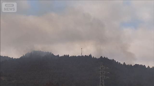 メイン記事画像