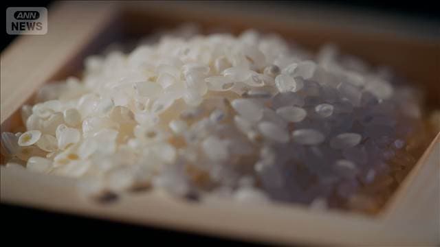 メイン記事画像