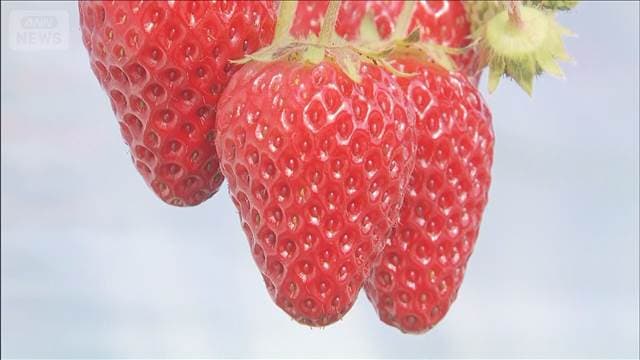 メイン記事画像