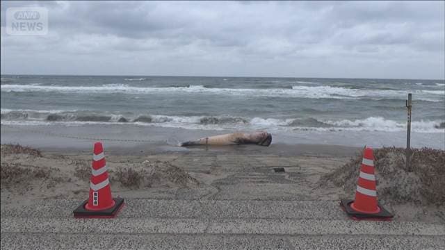 メイン記事画像