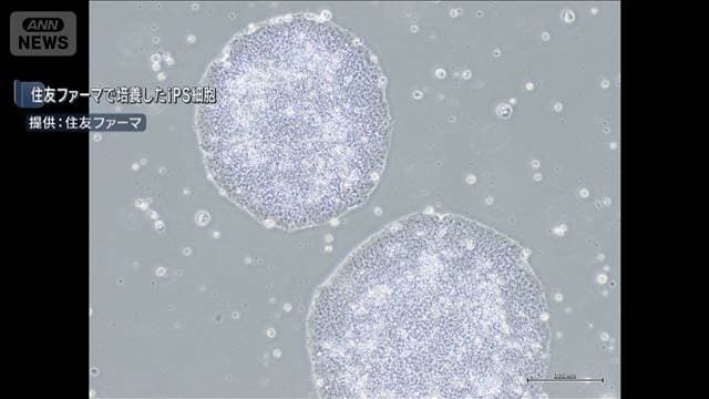 メイン記事画像