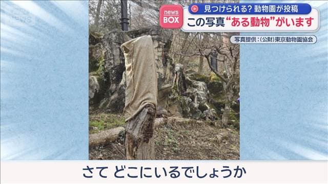 メイン記事画像