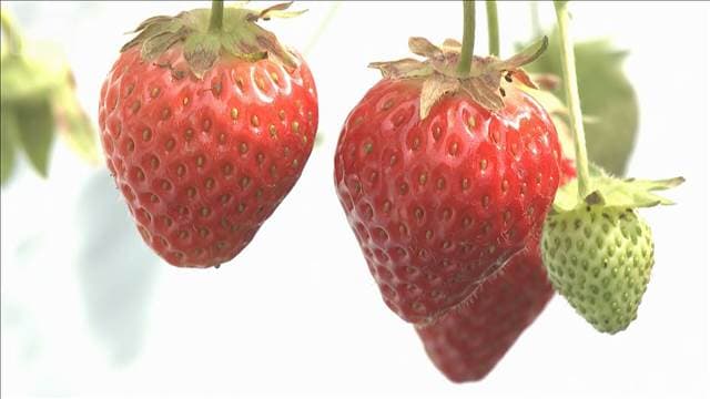 メイン記事画像