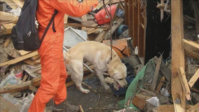 メイン記事画像