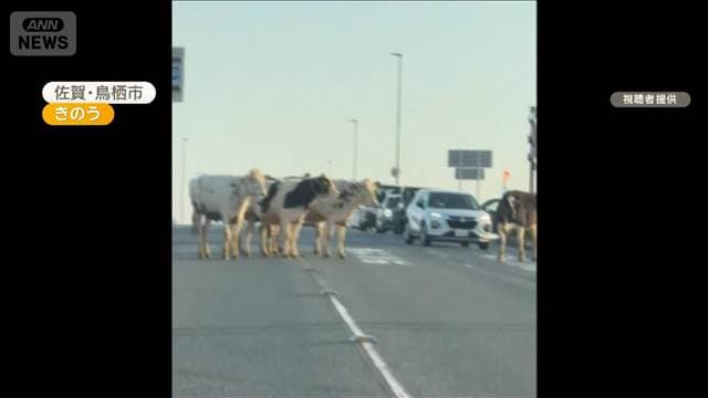 メイン記事画像