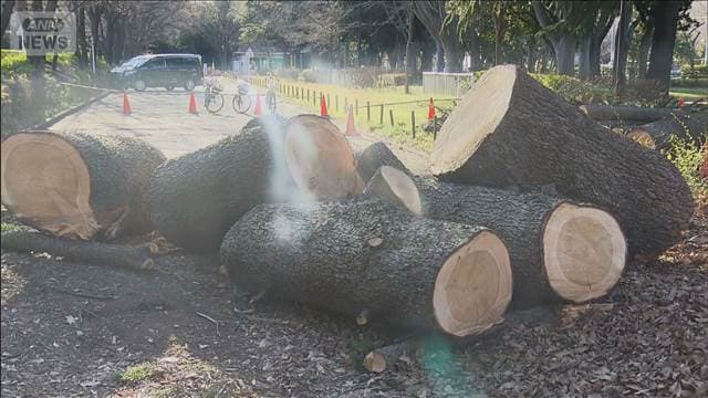 メイン記事画像