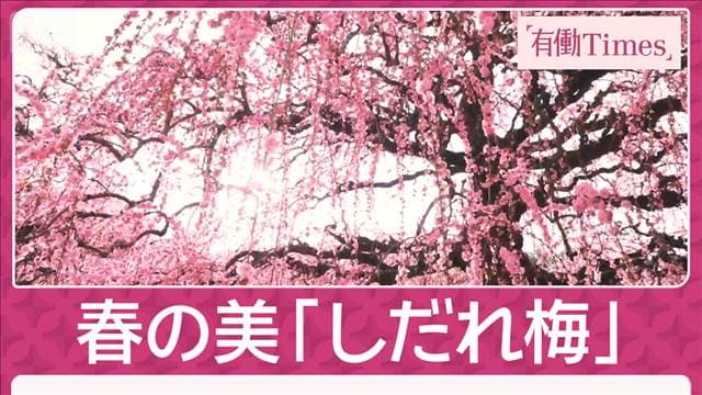 メイン記事画像