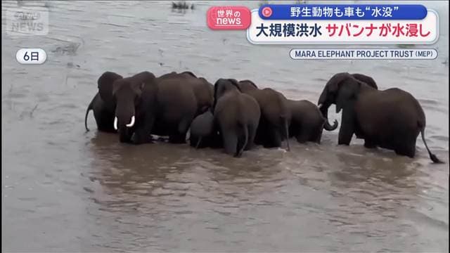 メイン記事画像