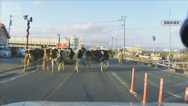 メイン記事画像