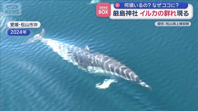 メイン記事画像