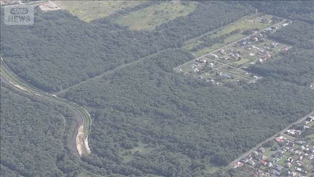 メイン記事画像