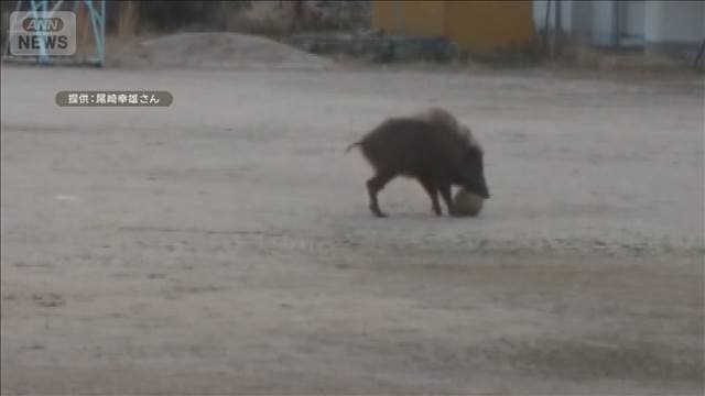 メイン記事画像