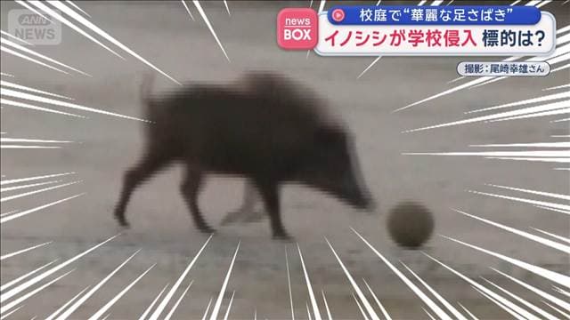 メイン記事画像