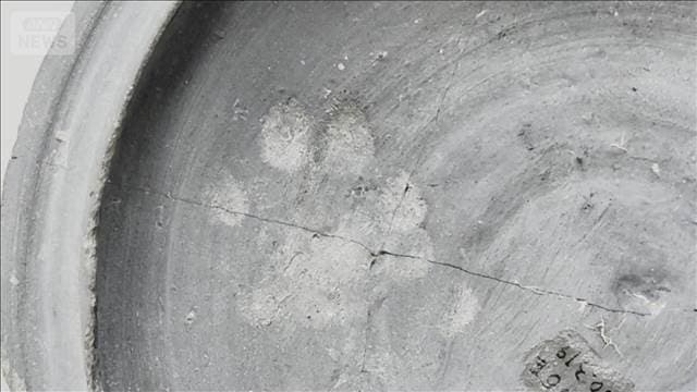 メイン記事画像