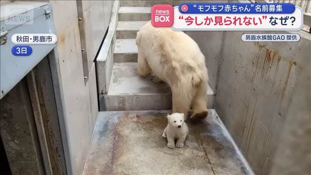 メイン記事画像