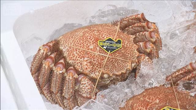 メイン記事画像