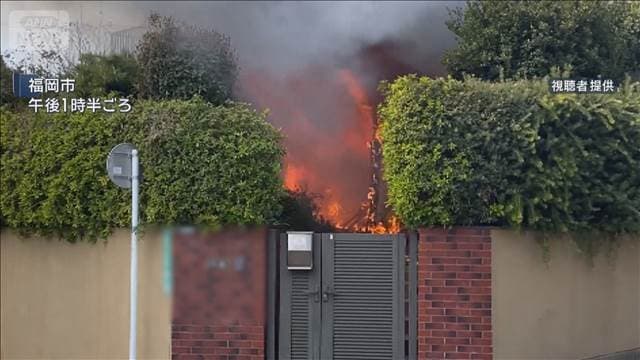 メイン記事画像