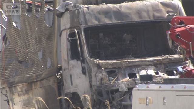 メイン記事画像