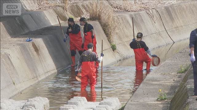 メイン記事画像