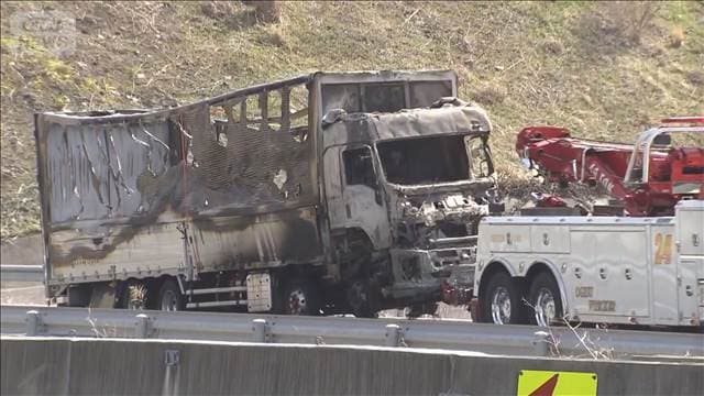 メイン記事画像