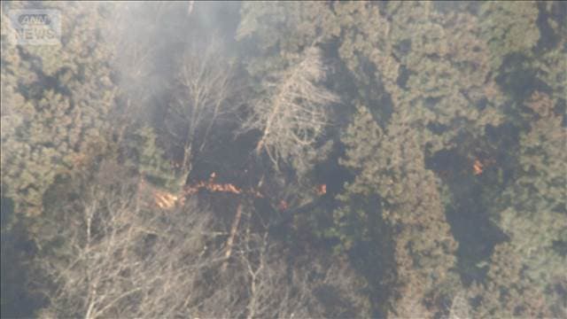 メイン記事画像